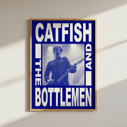 Catfish and the Bottlemen Poster