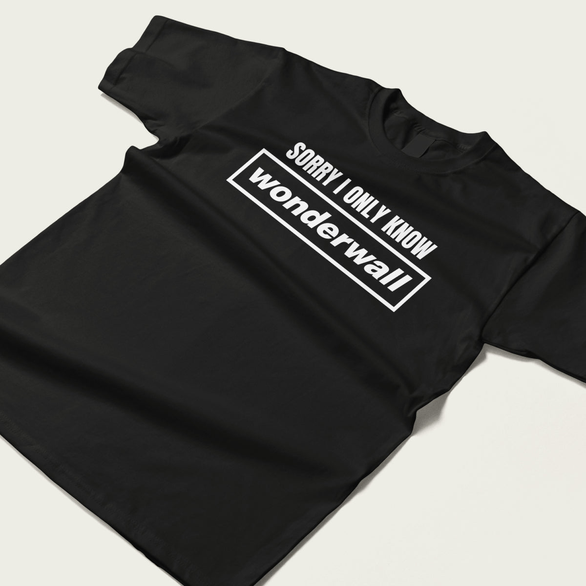 Funny Wonderwall T-Shirt