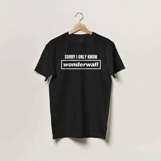 Funny Wonderwall T-Shirt
